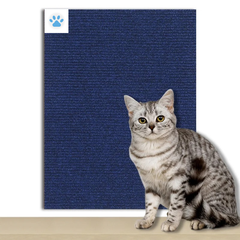 Cat Scratcher Adhesive – Petzo