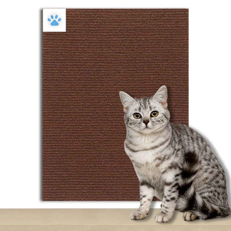 Cat Scratcher Adhesive – Petzo