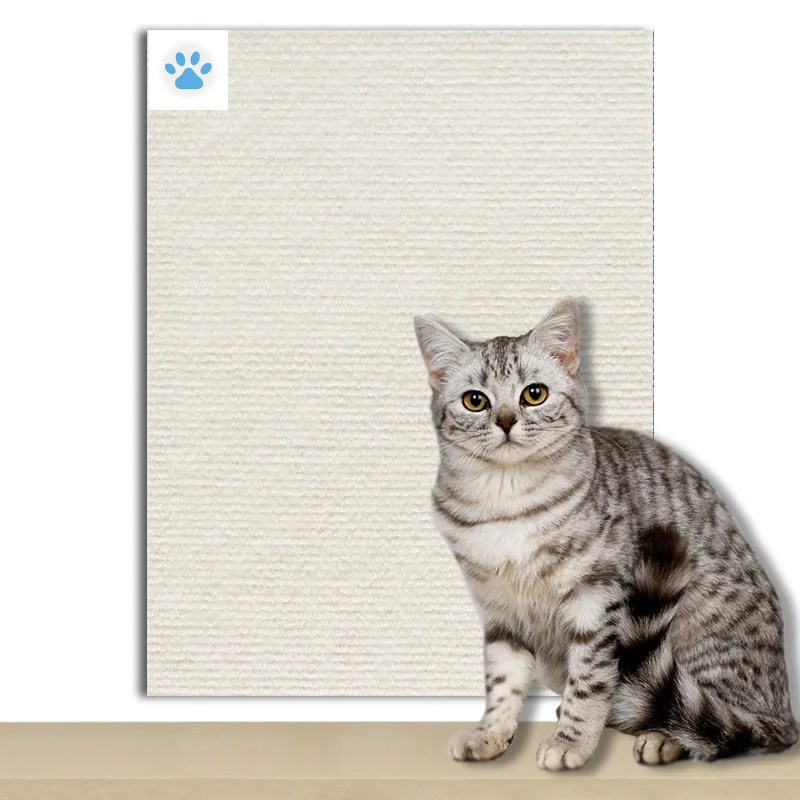 Cat Scratcher Adhesive – Petzo