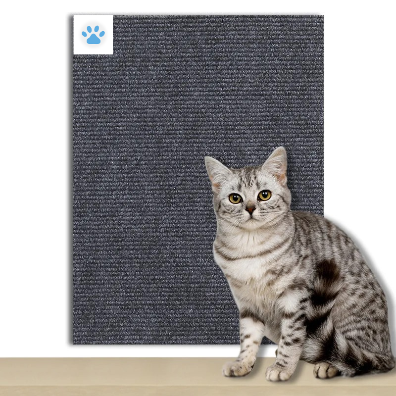 Cat Scratcher Adhesive – Petzo