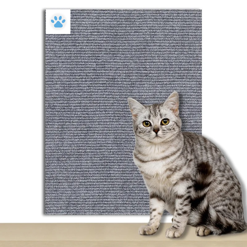 Cat Scratcher Adhesive – Petzo